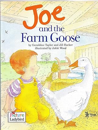 Joe and the farm goose