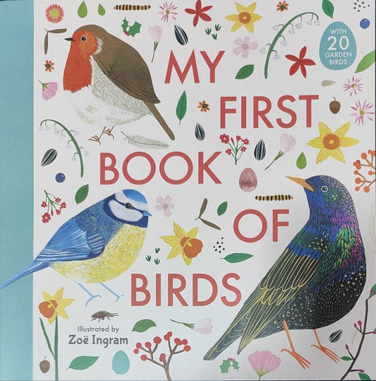 My First Book Of Birds
