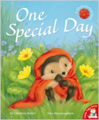 One Special Day [a touch-and-feel book]
