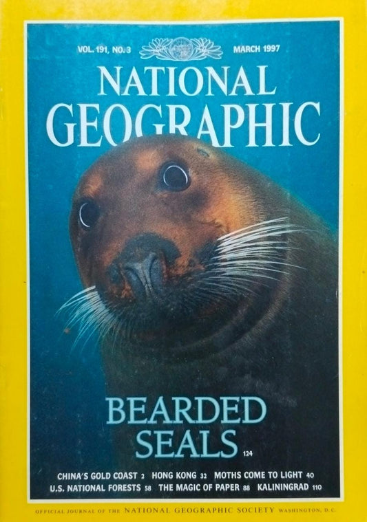 Bearded seals [National Geographic][Vol 191 No 3][March 1997][rare books]