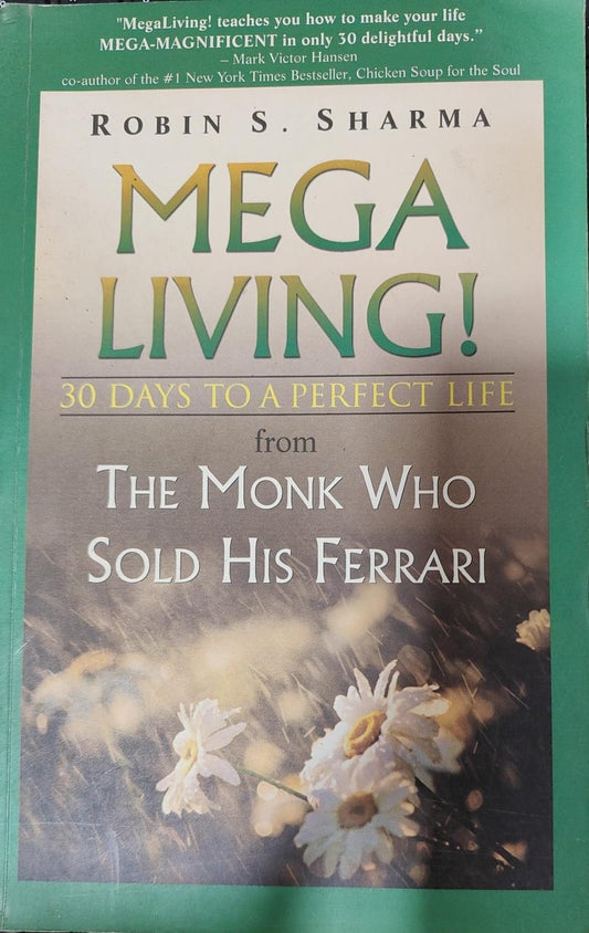 Mega living: 30 days to a perfect life