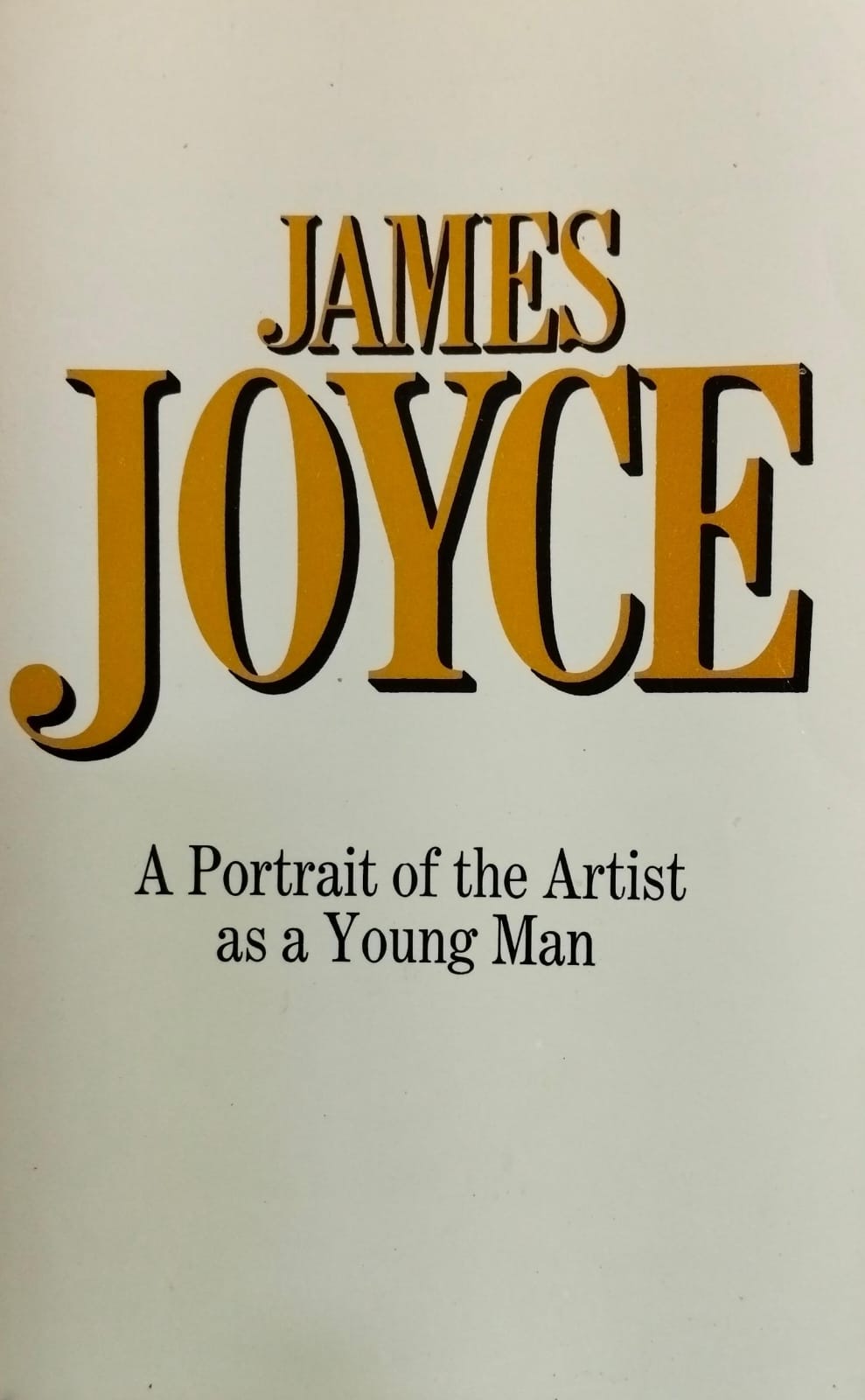 A portrait of the artist as a young man [rare books]