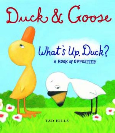 Duck and Goose: Whats Up Duck? A Book of Opposites