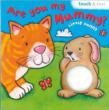 Little Bunny: Are You My Mummy? (Board Book) [touch & feel]